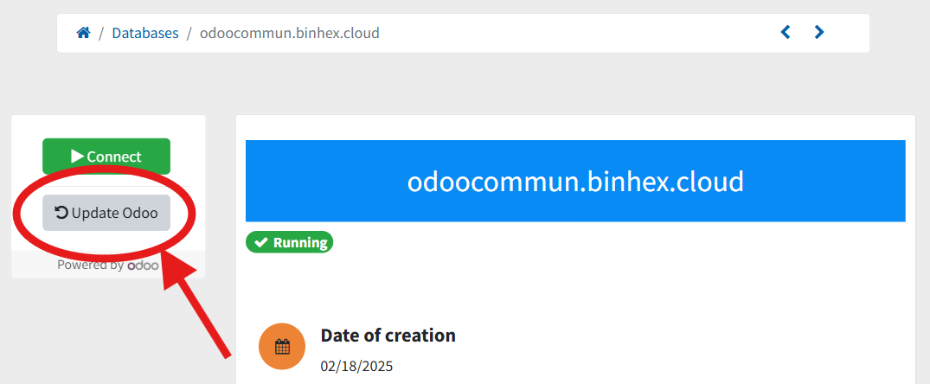 Odoo Automatic Updates